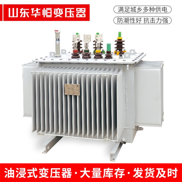 S13-10000/35江孜江孜江孜电力变压器